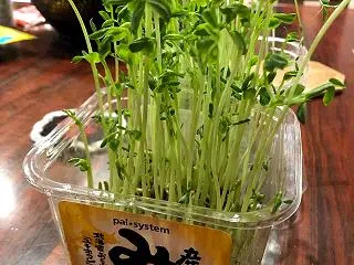 廃物利用はお手のもの