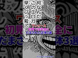 【ワンピース】初見では完全にだまされ…