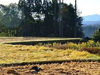 ふる里の朝景色