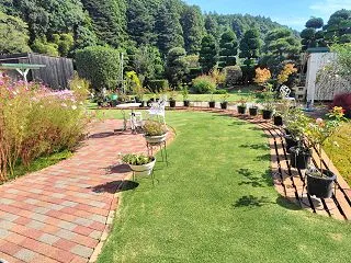 今年１２度目の芝刈り