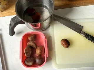 今年初の🌰ゴハンとPidlのシラタキ