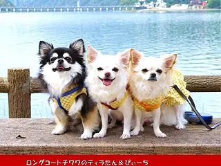ＥＮＡＫＹＯモニュメントで記念撮影【20…