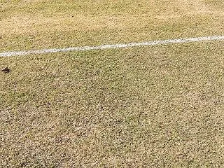 次男公式戦デビュー