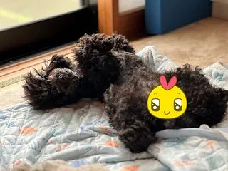 感激したことw