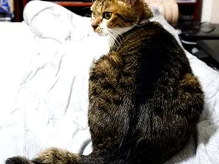 ちょこっと行ってみたいのだ！
