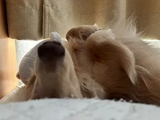 ズルした日