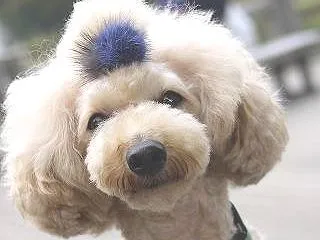 わたしの今週