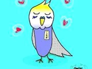 何処に行こうか迷うな・・・