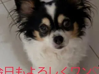 いい加減…諦めてくれ～(;´д｀)