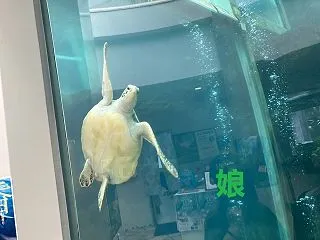 秋の奄美で山＆海遊び【16】奄美海洋展示…