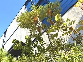 気持ちの良い朝と歴史の勉強