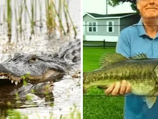 フロリダで、巨大ワニによる襲撃事件が発生…