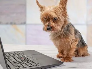 キューティーワークの時給や報酬は？ メー…