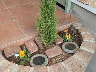 新しいお花でお出迎え
