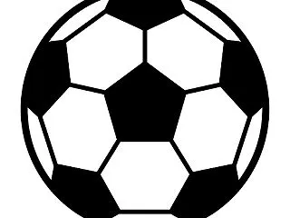 全国高校サッカー選手権 2026 徳島県…