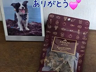 チェスターの教え