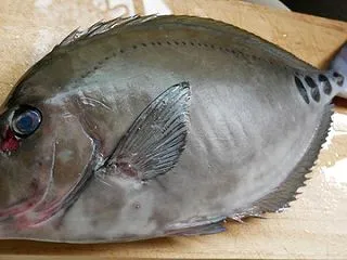 酒盛り