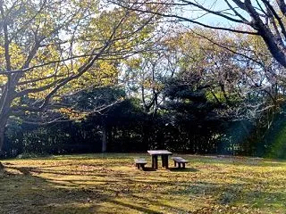 秋の散歩と母校