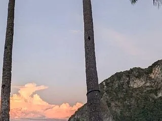 ElNido.Coronパラワン島〚浮気…