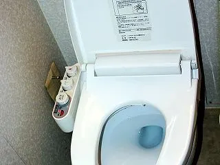 【海外】外国人「日本のトイレは全部ハイテ…