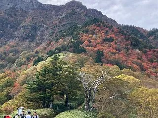紅葉の石鎚山登山行ってきました
