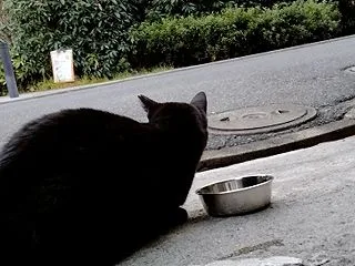 何ヵ月ぶりに土曜日の通所