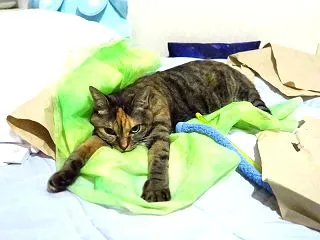 珍しい体勢（´･∀･`）