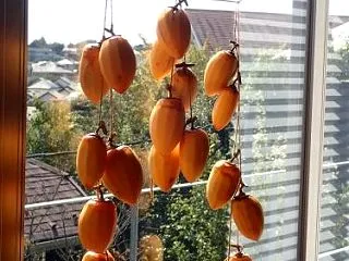 揺り戻し