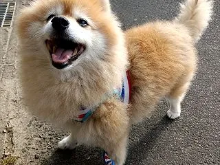 吐出対策 五日目！