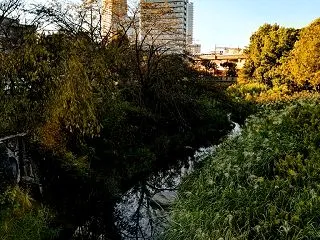 宿場の雰囲気全くない加納宿