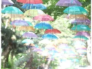★同じ向きでも｡｡｡♪★