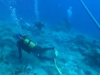 トルコ沖で世界最古とされる難破船を発見、…