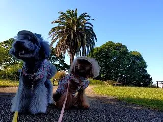 いい天気だったのに