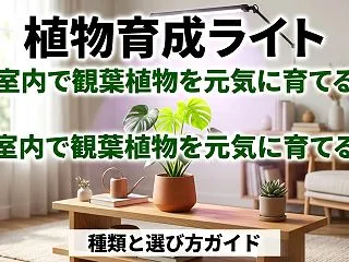 室内で観葉植物を育てる！植物育成ライトの…