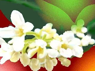 嬉しい ほめる 認める 良い成果 
