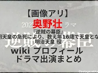 【画像アリ】奥野壮 『逆賊の幕臣』明治天…