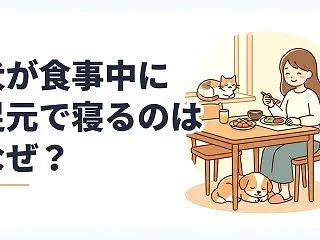 犬が食事中に足元で寝るのはなぜ？