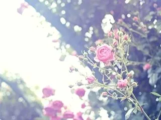 舌を噛んでしまい激痛