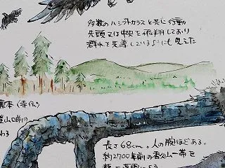 やりたいことを、自分で選べる人生に