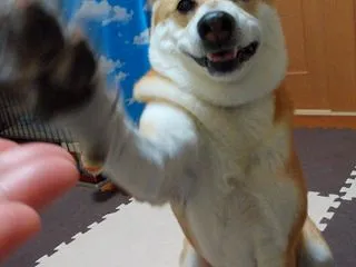 我が家は、これでいい。
