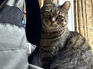 2026.10.18 酒と肴 柚子で始ま…