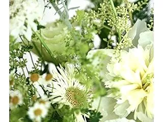 FPとして：違う視点から見るってすごく大…