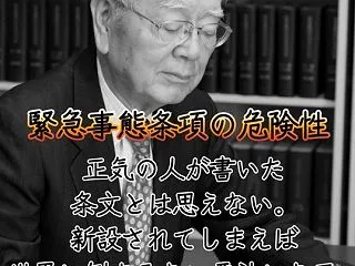 【全国民必見の動画です】 独、ワイマール…