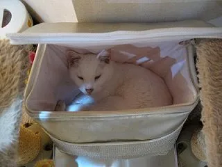 秋ねだめお天道様を覚えずれす・・(^^♪