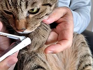 お利口さんに爪切り出来るね！