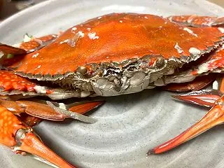 秋晴れのフカセとぶっこみ釣り！カニ出汁の…