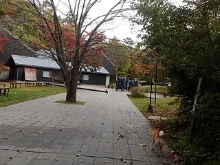 お天気下り坂