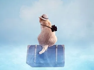 【不登校】「自由が欲しい！」