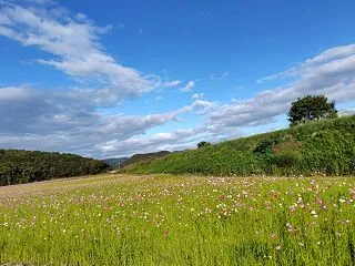しっかり育てて・・・