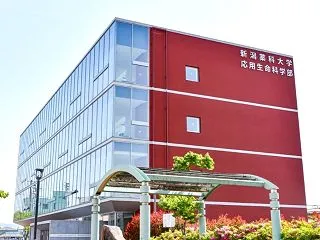 大学の校名変更